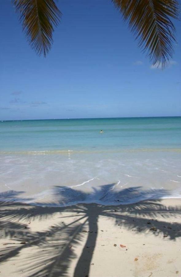 L'Hibiscus Piscine Et Plage Sainte-Luce Exterior photo